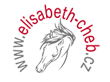 logo Elisabeth